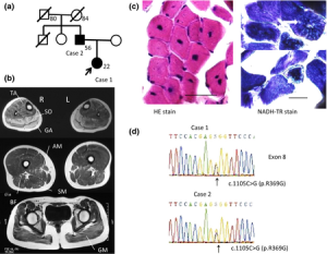 ncn3176-fig-0001