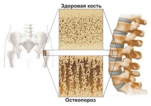 Безимени-1 копия